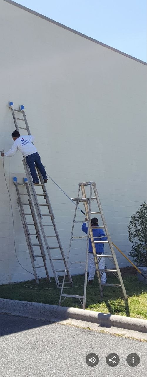 Painting project